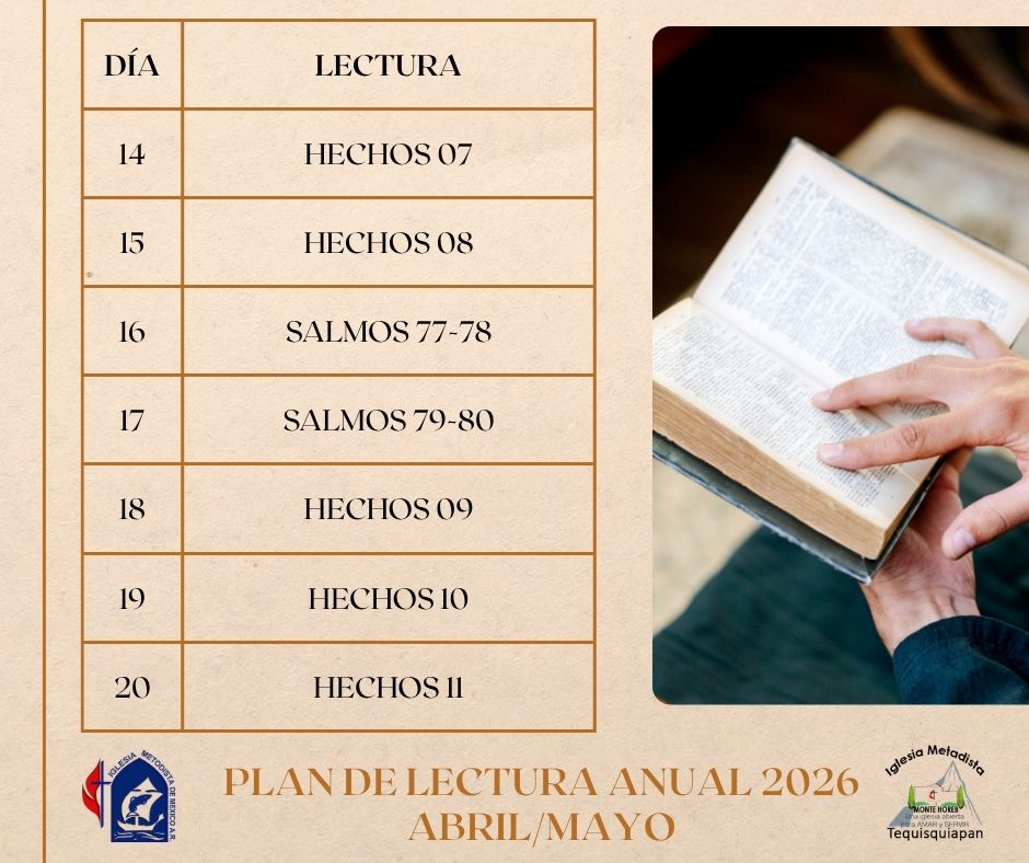 Semana 17